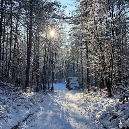 Rasmus 4* 코워브제크