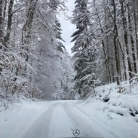 לינה וארוחת בוקר Rasmus