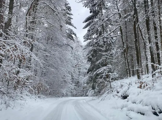 Bed and breakfast Rasmus