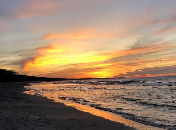 Rasmus Oda ve Kahvaltı